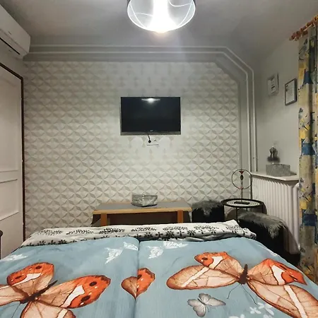 Pensionat Agnes Vendeghazak Siofok-apartman 1 *